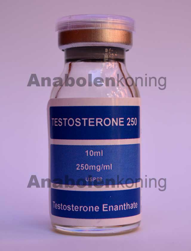 testosterone pillen kaufen